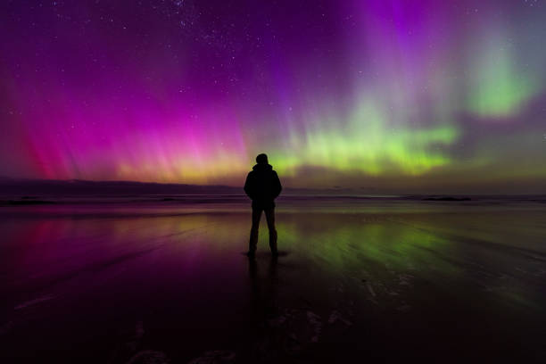 istock Aurora Over Dunedin, New Zealand 2195212101
