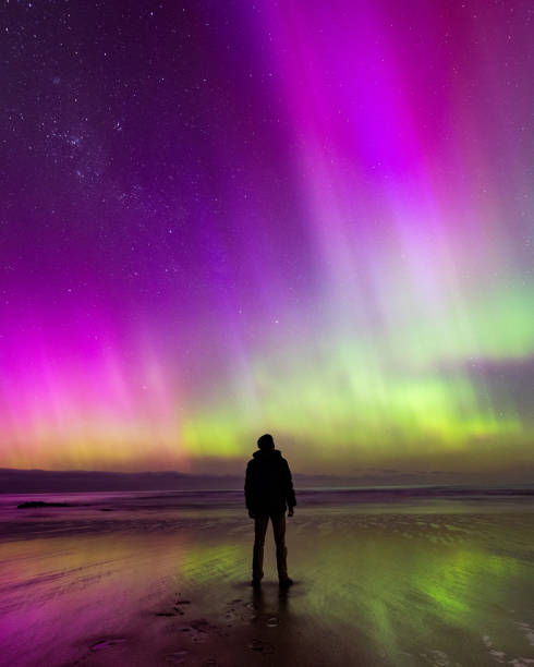 istock Aurora Over Dunedin, New Zealand 2195212103