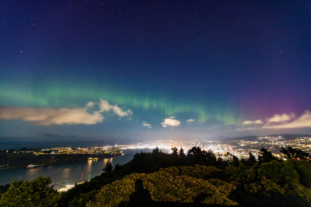 istock Aurora Over Dunedin, New Zealand 2195212121