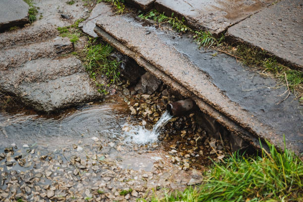 istock Natural spring water gracefully flowing through a beautiful stone pathway in a lush, vibrant green landscape, perfect for exploration and relaxation 2195218777