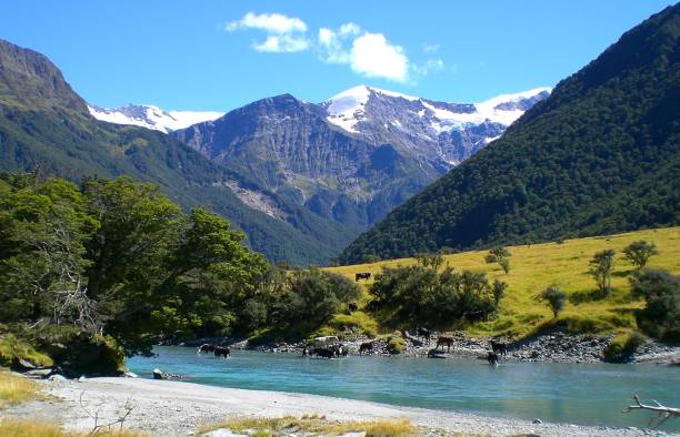 istock New Zealand Beauty 2195222291