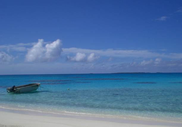 istock Cook Islands Beauty 2195222309
