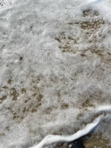 istock Foam on the white sandy beach at Batu Layar 2195222797