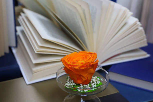 stack of books, close up. Open book on the table in library. Back to school concept.