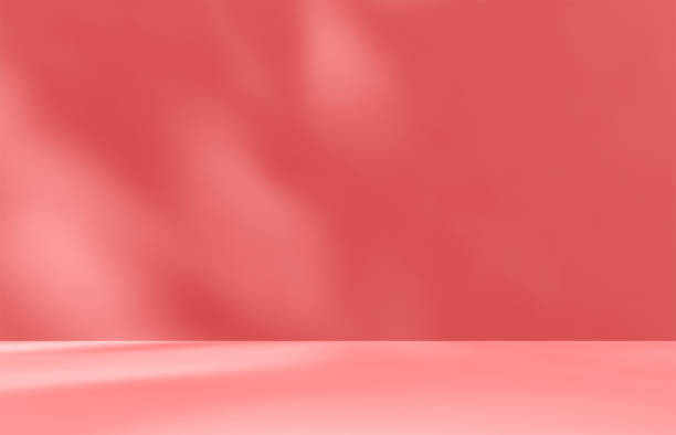 Empty red rose pink room studio with shadow of leaves overlay effect.