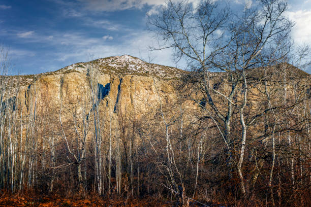 Cliffs, hills and poplars in Rivasvaciamadrid. Madrid.
