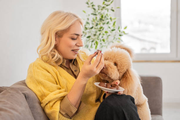 istock Woman eating chocolate on sofa with her dog 2195232589