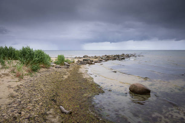 Coast on island Ruegen (Germany) on a cloudy day in summer, beach