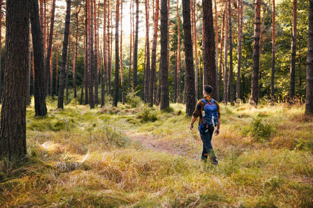 istock Rear view of man walking through the forest during autumn hike 2195237248
