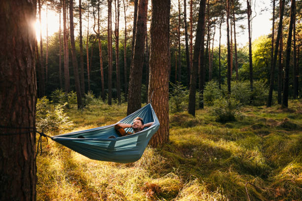 istock Happy man lying in hammock in forest 2195237403