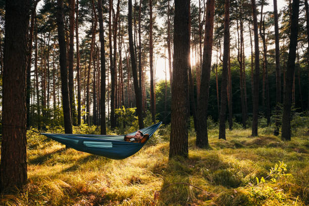 istock Wide shot of man lying in hammock in forest 2195237418