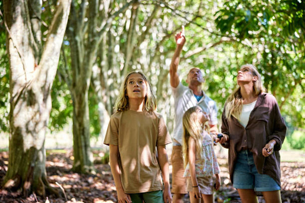 istock Family exploring native Australian fruit farm 2195238844