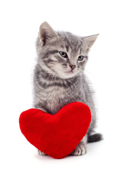 istock Kitten with toy heart. 2195242358