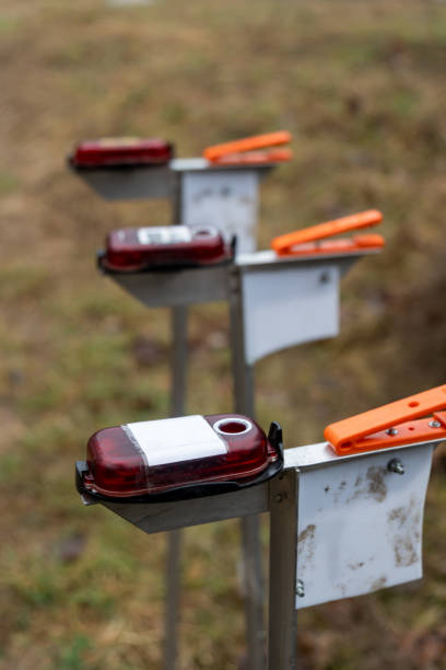 istock Orienteering. Three electric composters for orienteering in the spring forest. 2195243425