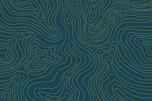 Abstract luxury topographic map background. Gold topographic lines on a dark blue background