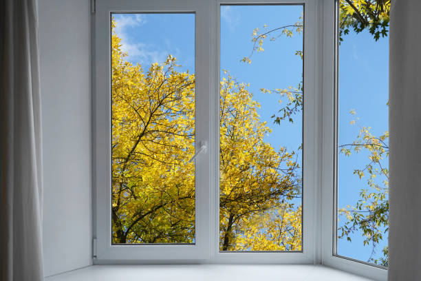 istock View from the window on yellow garden trees, landscape with  autumn forest. 2195245032