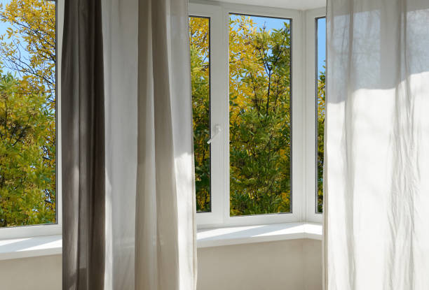 istock View from the window on yellow garden trees, landscape with  autumn forest. 2195245033
