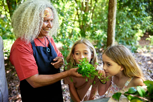 istock Aboriginal bushfood guide sharing River Mint with siblings 2195245699