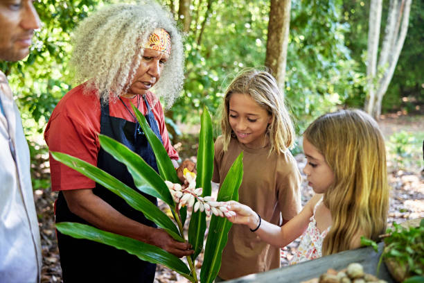 Bush tucker guide introducing children to galangal flowers