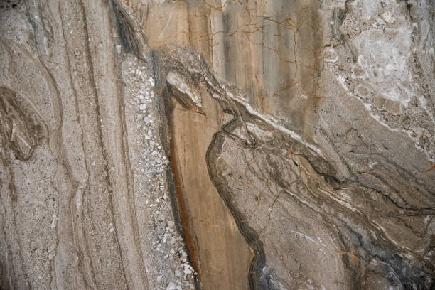 istock Detailed stone surface featuring earthy colors and intricate vein patterns 2195248212