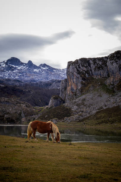 Postcards of Lake Cavadonga, mountains, snow, horses, old houses
