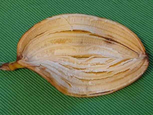 istock Empty shell of banana with green background 2195252403