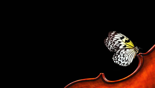 Classical Guitar Strings Vibrating when Song is Played Slow Motion