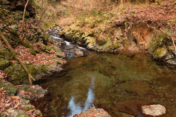istock Forested riverbanks in autumn, colorful fallen leaves 2195257370