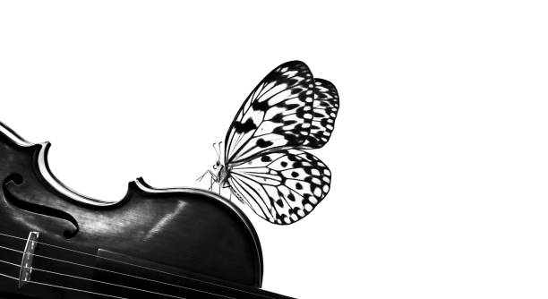 istock music concept. bright butterfly and violin on a white background, black and white 2195257478