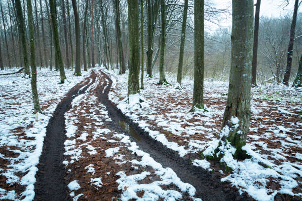 Dirt muddy road in a snowy forest, eastern Poland