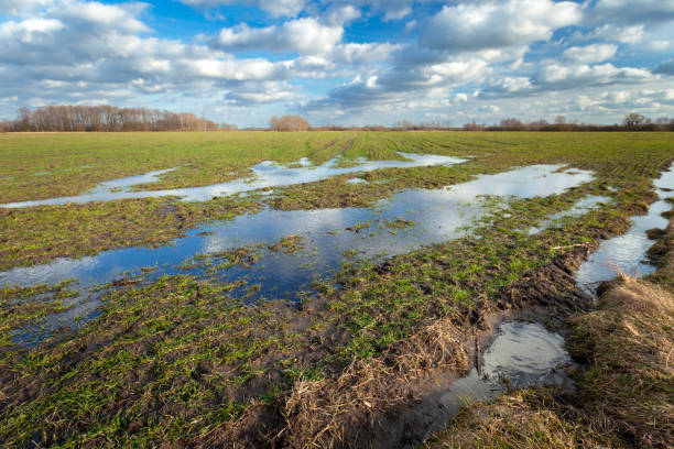 istock Water puddles on a rural field and clouds in the sky 2195259100
