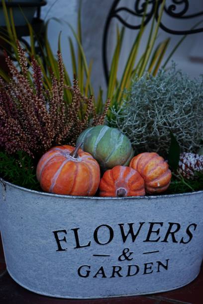 Decorative pumpkins, heather, and greenery in a metal planter with the inscription \