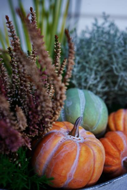 istock Autumn composition with decorative pumpkins in a planter. 2195261784