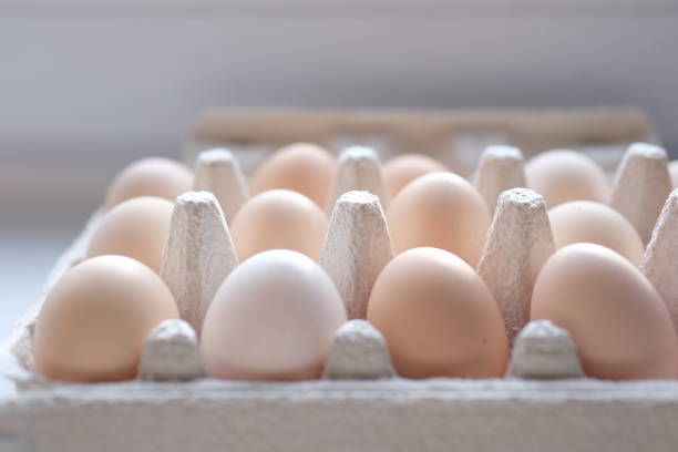 istock Fresh brown eggs in carton box rotating. Chicken eggs in packaging. Vertical footage for stories. Organic food. Close-up of hen eggs. Farm concept. Close-up in 4K, UHD 2195262485