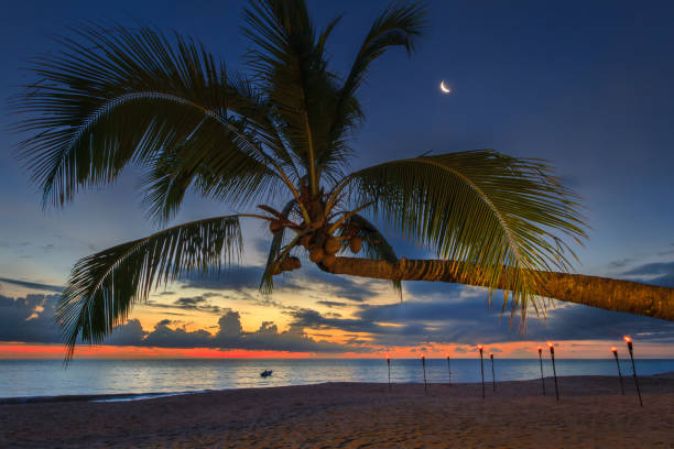 istock Sunset on the beach with tropical coconut palm in Thailand 2195262914