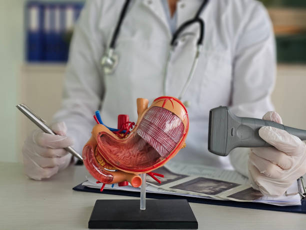 istock Doctor using ultrasound to examine stomach model 2195264279