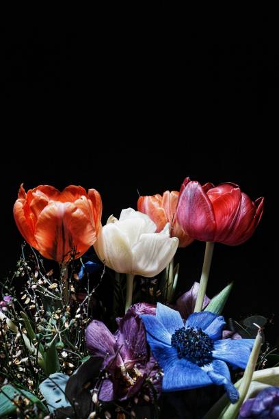 istock Vibrant floral bouquet against black background. 2195266125