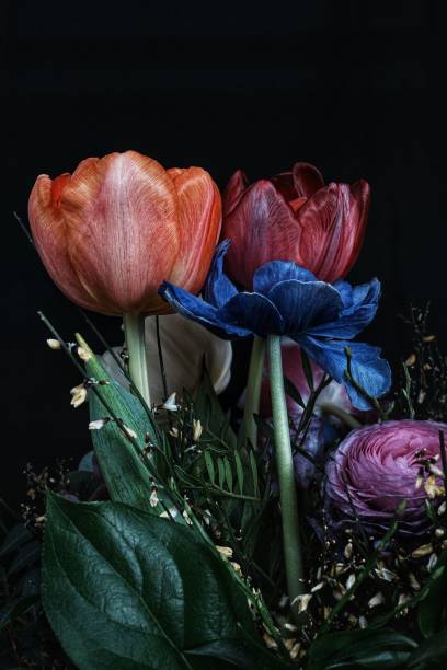 istock Vibrant floral bouquet with tulips on dark background. 2195266170