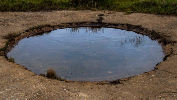istock A shallow water puddle reflecting the surrounding environment, set against a rugged terrain with grass edging. Highlights serenity and simplicity in nature's details 2195266476