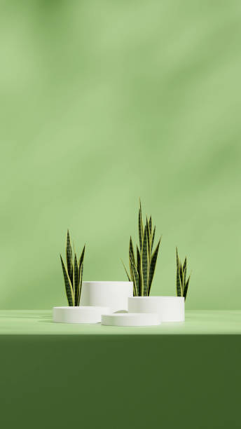 istock in portrait minimal scene, 3d render image empty scene green color curved cylinder podium 2195266662