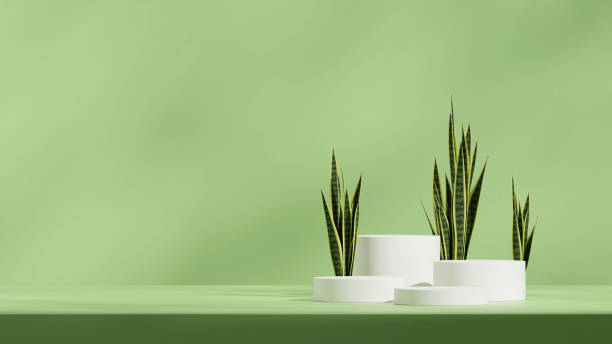 istock in landscape minimal scene, 3d render image empty scene green color curved cylinder podium 2195266717