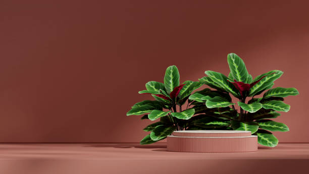 istock minimal scene, 3d render image empty space ceramic texture curved cylinder podium in landscape 2195267289