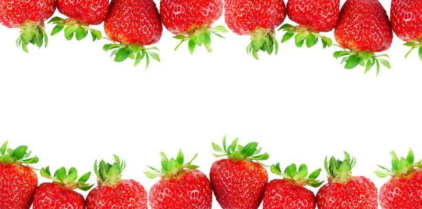 istock Strawberry fruit isolated on white. Fresh ripe fruit closeup 2195273477