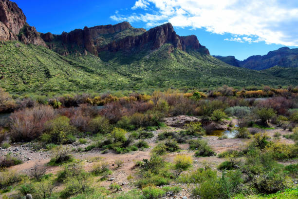 istock Salt River Recreation Area Arizona 2195273773