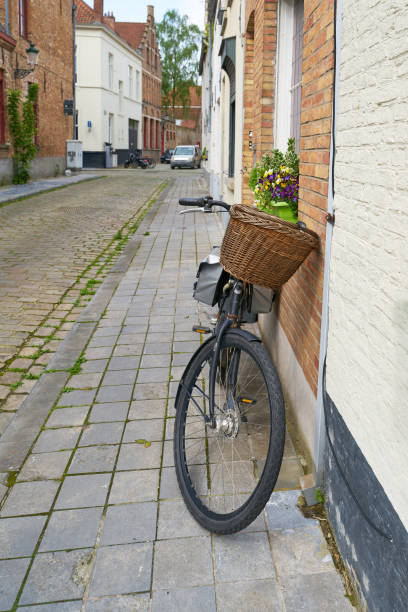 A black Dutch bicycle with a red crate attached to the front is parked against a traditional canal house in Amsterdam, Netherlands. The charming brick facade, adorned with potted plants and colorful flowers, enhances the quintessential European city atmosphere. The image captures the relaxed, bike-friendly culture of Amsterdam, where bicycles are a primary mode of transport. The foreground greenery adds depth to the scene, while the house’s dark tones contrast beautifully with the vibrant floral decorations
