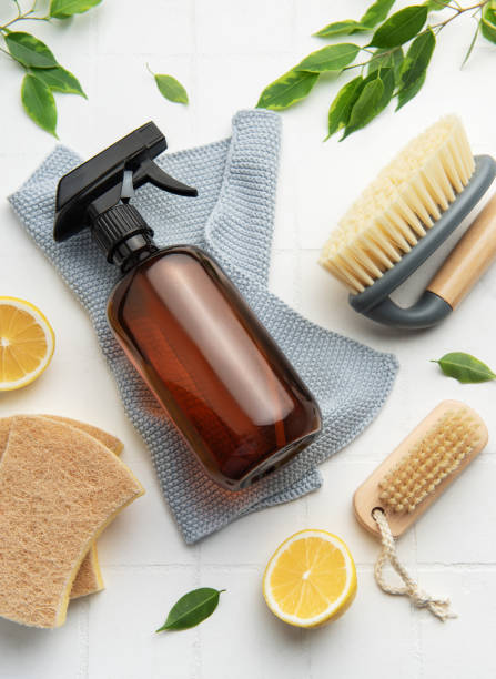 istock Eco friendly cleaning products promoting sustainable lifestyle with lemons and brushes 2195281300