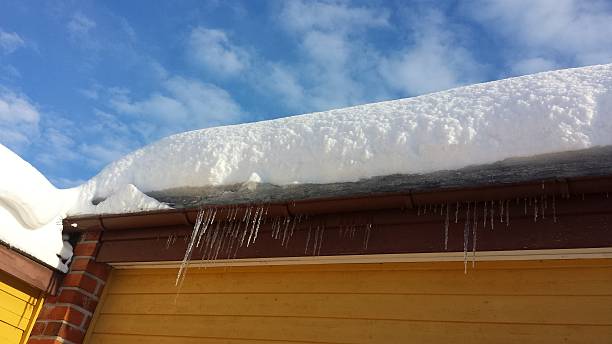 istock Morning in the north of Sweden 2195283045