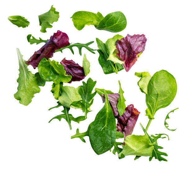 istock Falling salad leaves isolated on white background.  Fresh mixed salad Explosion with arugula, lettuce, spinach and beets leaf in the air 2195285018