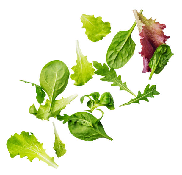istock Isolated Fresh mixed salad Explosion with arugula, lettuce, spinach and beets leaf in the air. Flying  salad on white background. Creative layout 2195285085