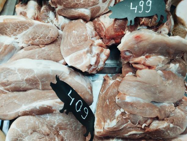 istock pieces of meat 2195291153